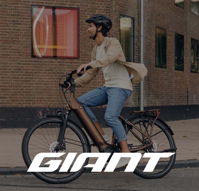 Logo von der Marke Giant