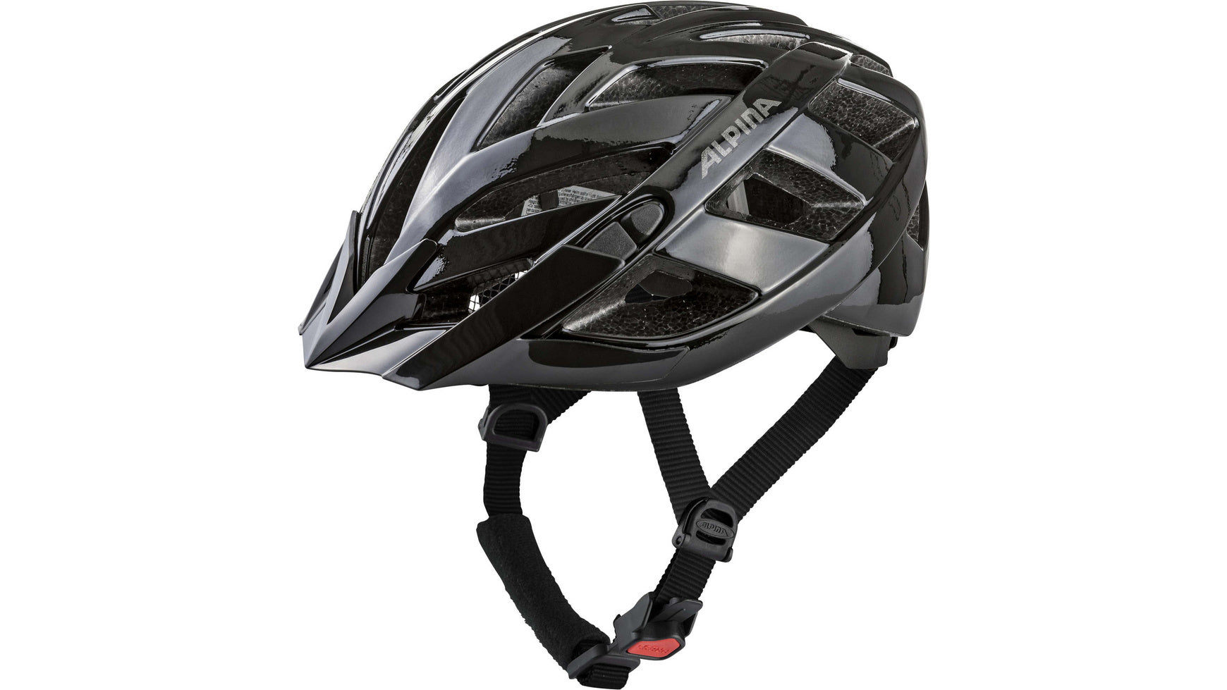 Alpina Panoma Classic image 0