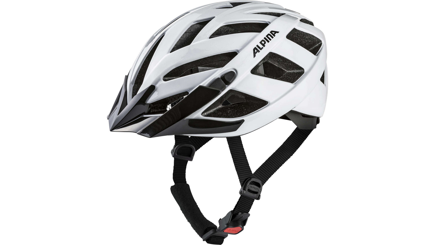 Alpina Panoma Classic image 26