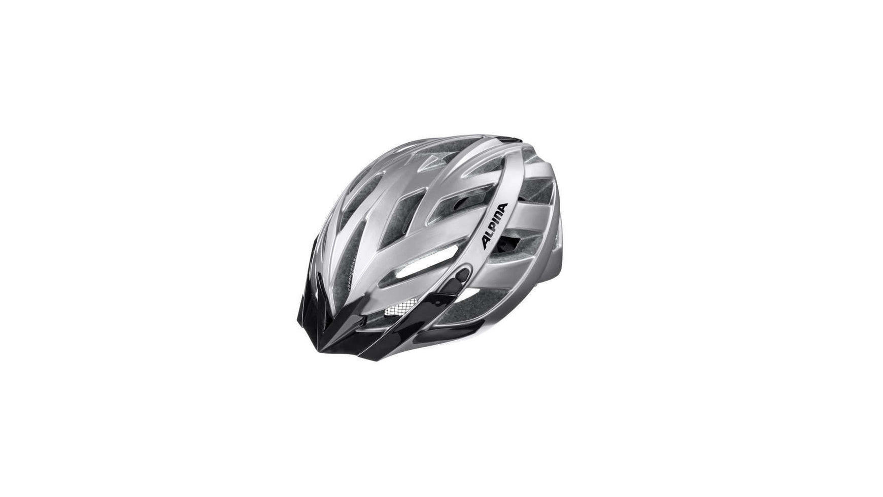 Alpina Panoma Classic image 29