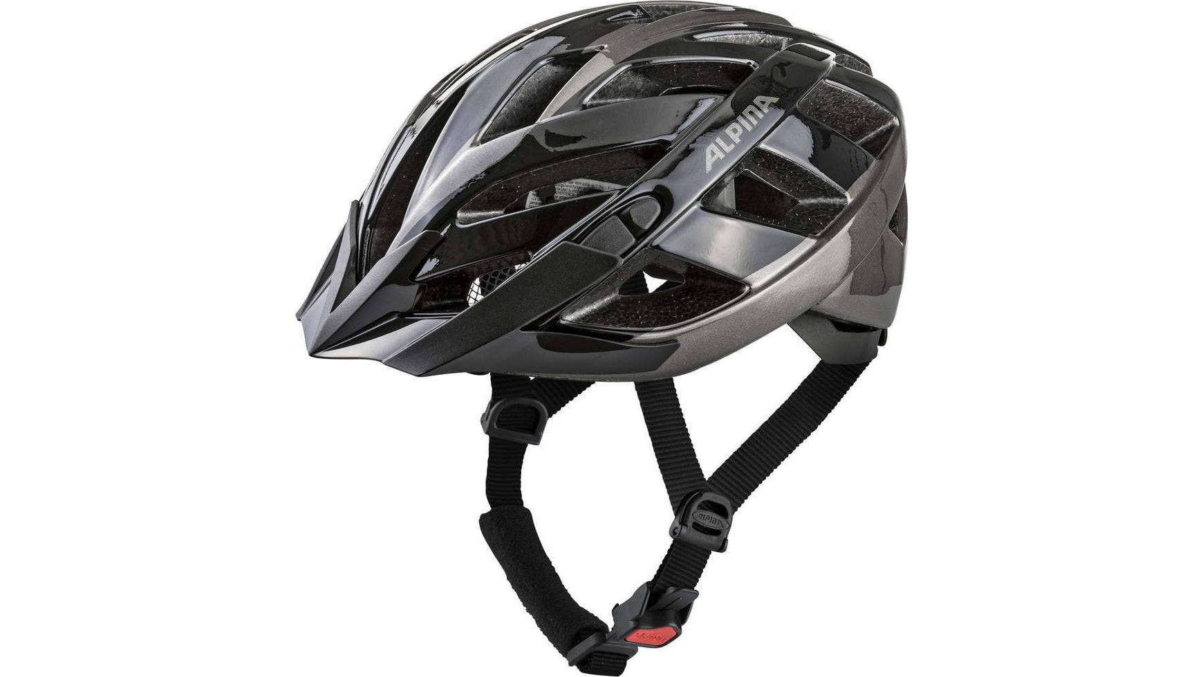 Alpina Panoma 2.0 . image 31