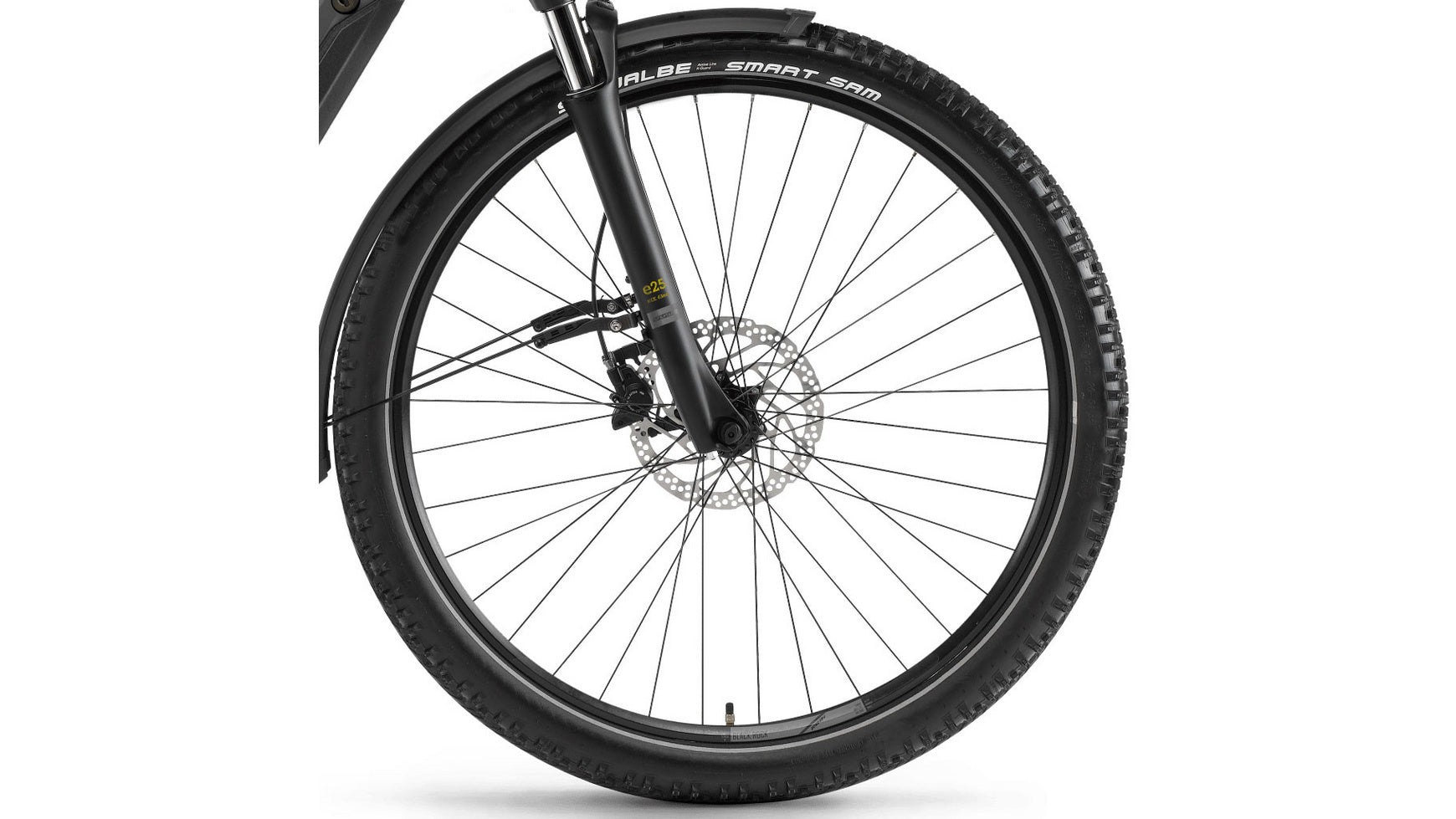 Winora Sinus iX10 image 2