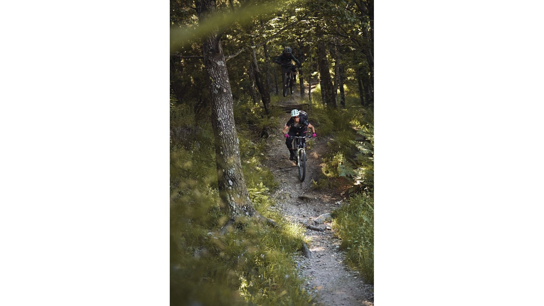 Abus MoDrop image 21