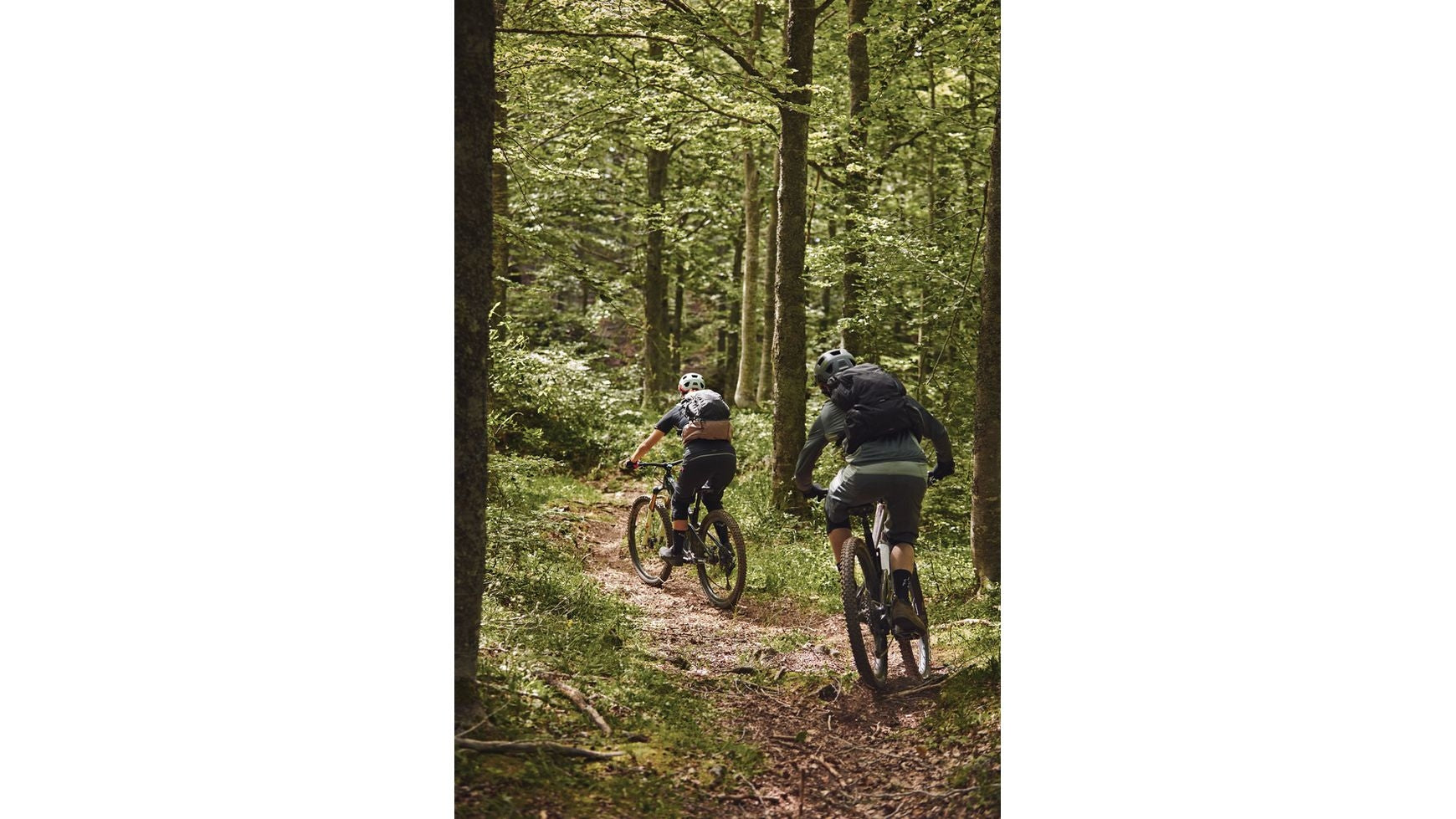 Abus MoDrop image 20