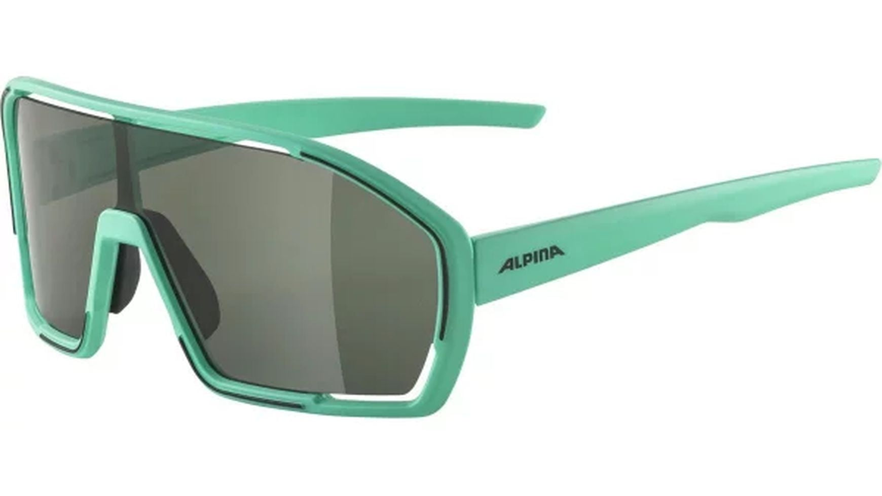Alpina Bonfire Fahrradbrille image 0