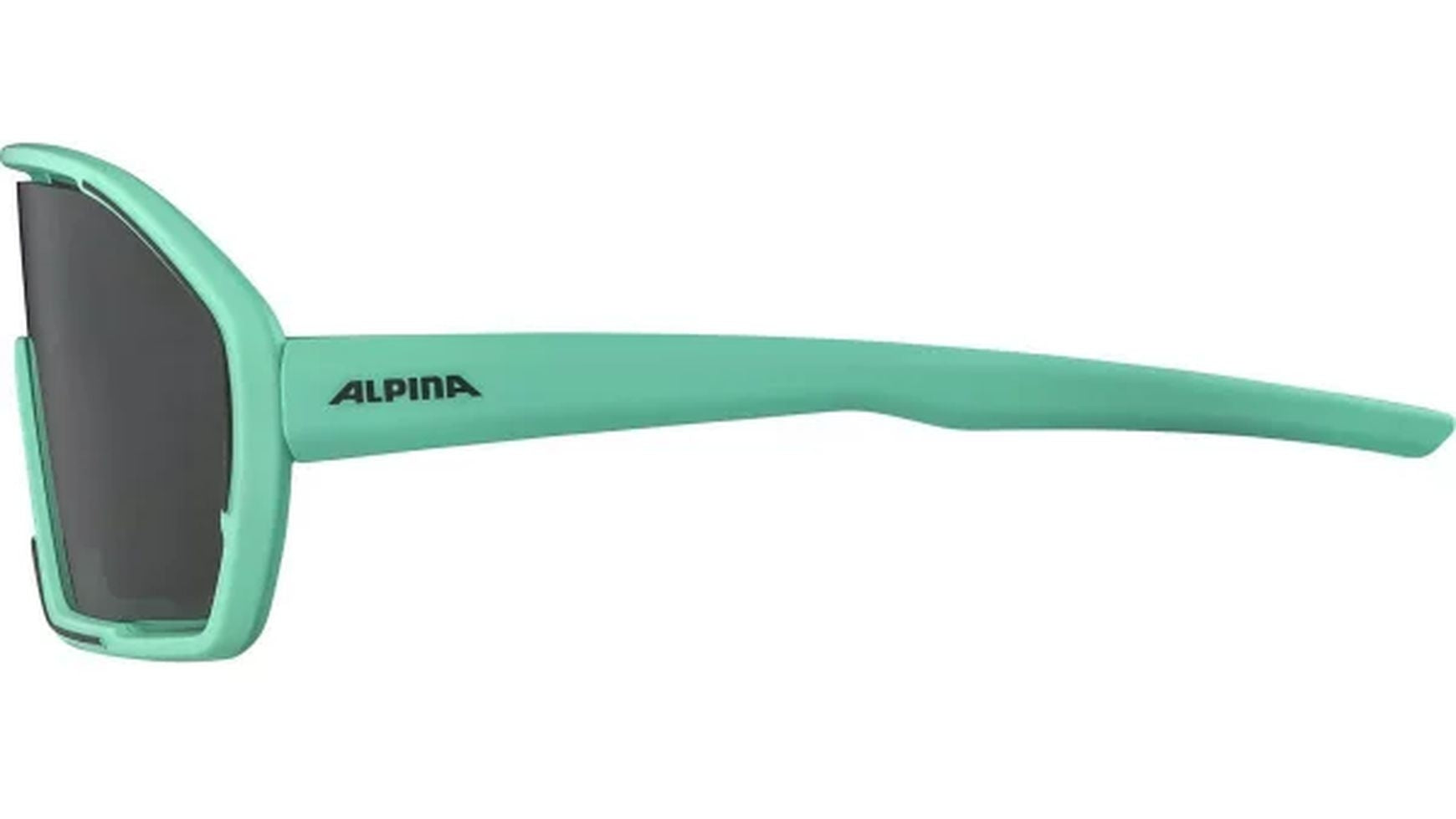 Alpina Bonfire Fahrradbrille image 2