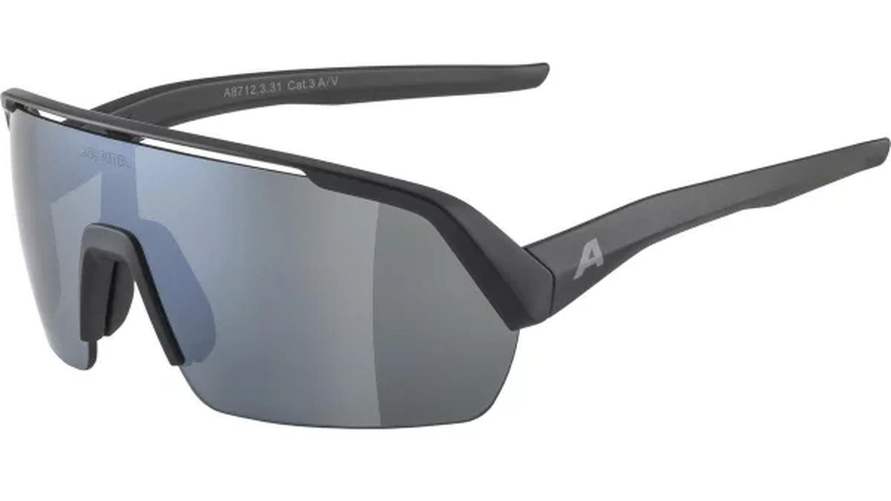 Alpina TURBO HR Fahrradbrille image 0