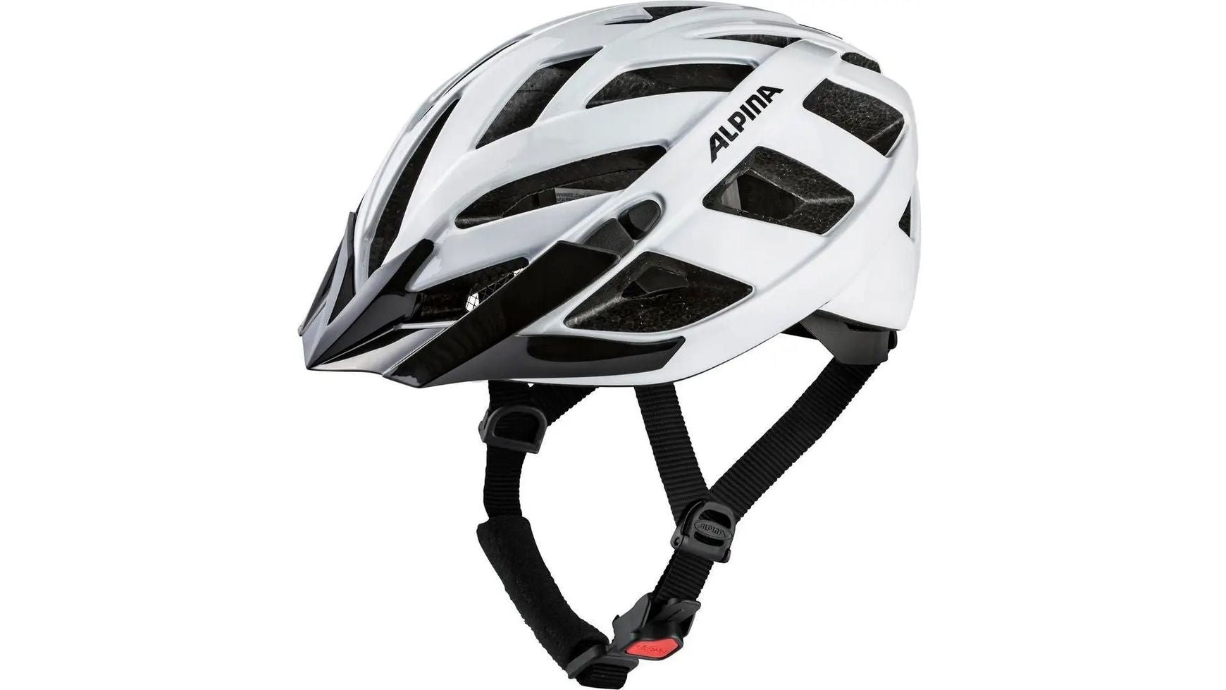 Alpina Panoma Classic image 22