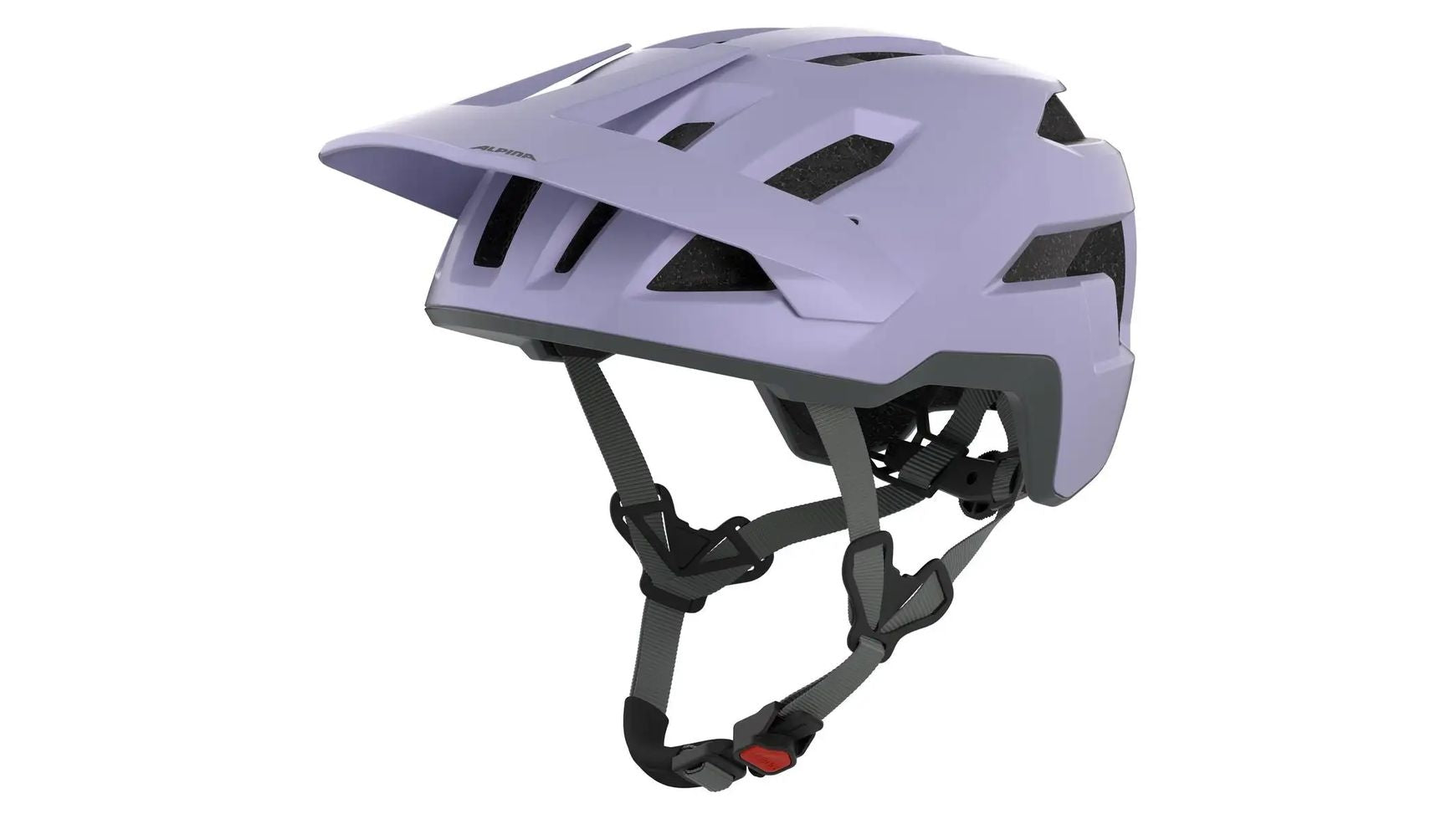 Alpina Taunus image 10