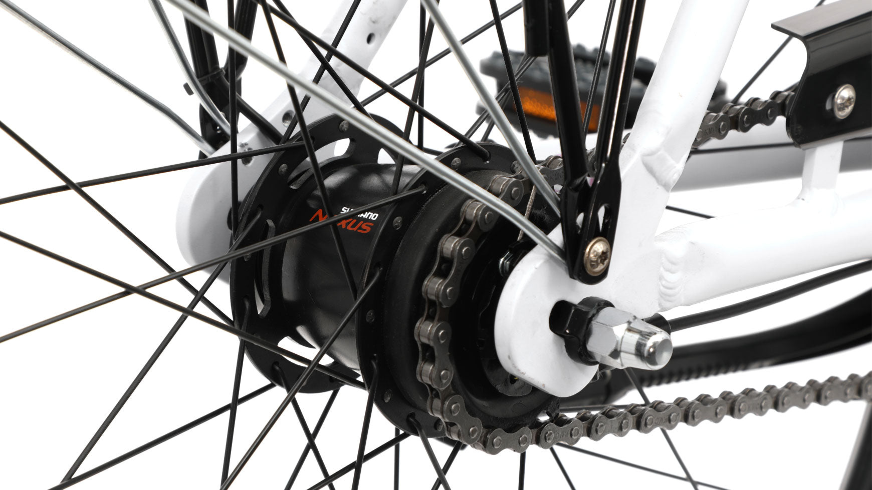 Bocas Bari L Wave image 9