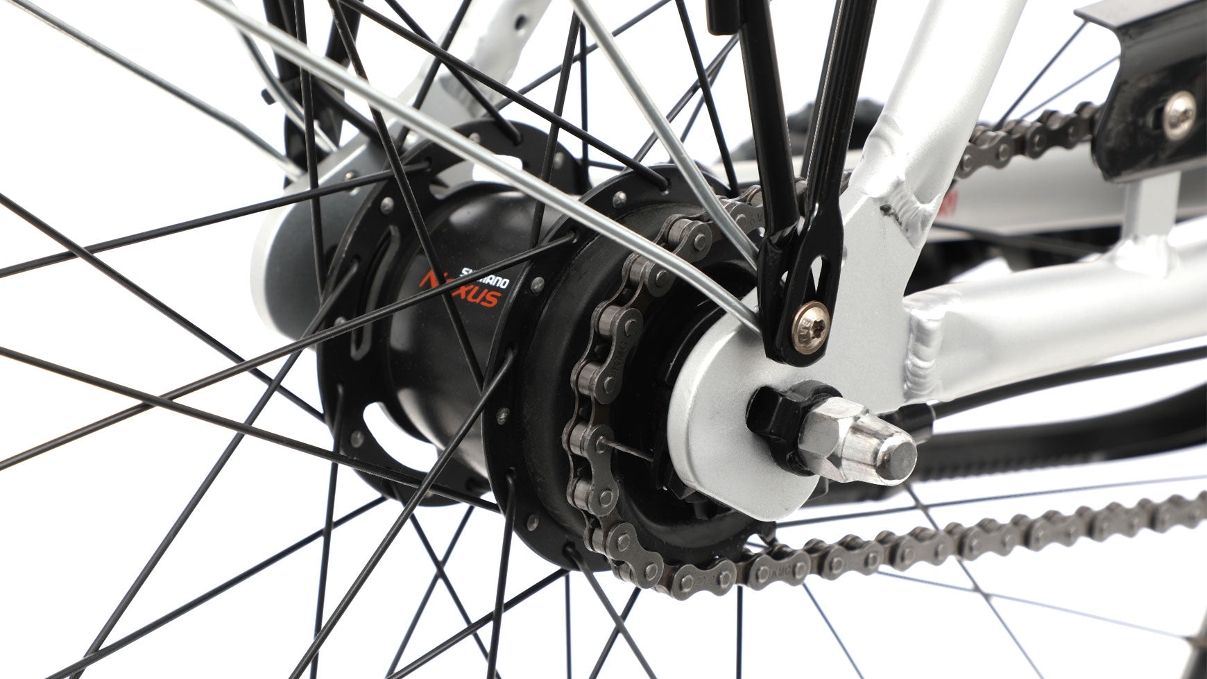 Bocas Bari Wave image 11