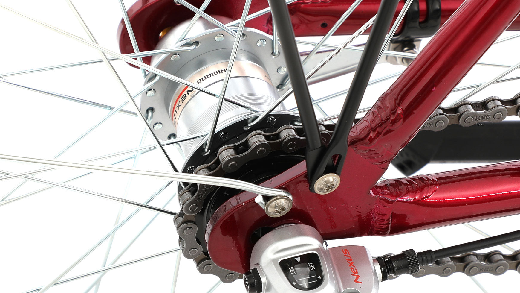 Bocas Tampa Wave image 7