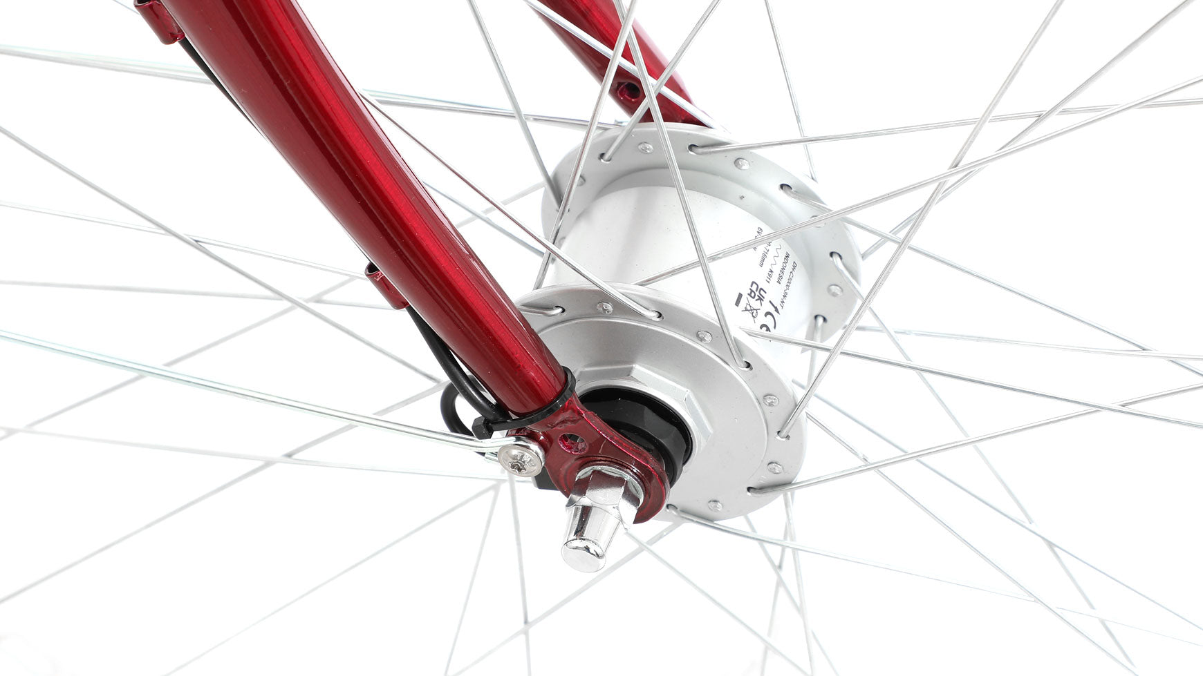 Bocas Tampa Wave image 8