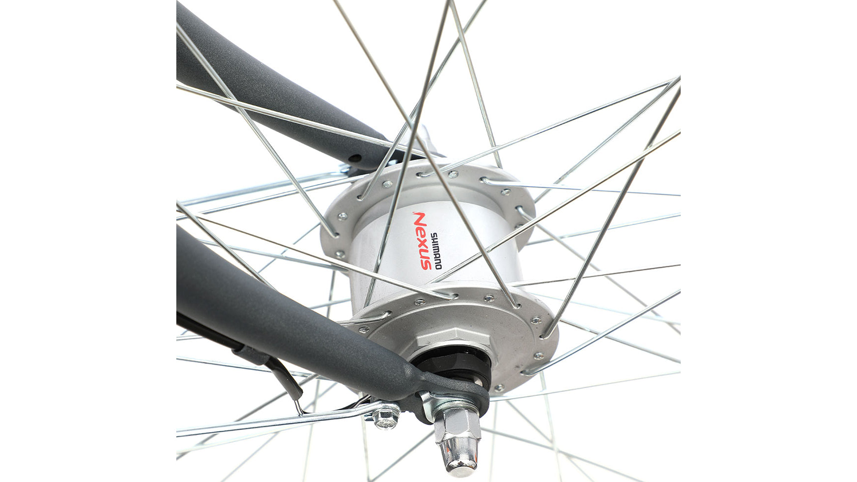 Bocas Tampa Wave image 2