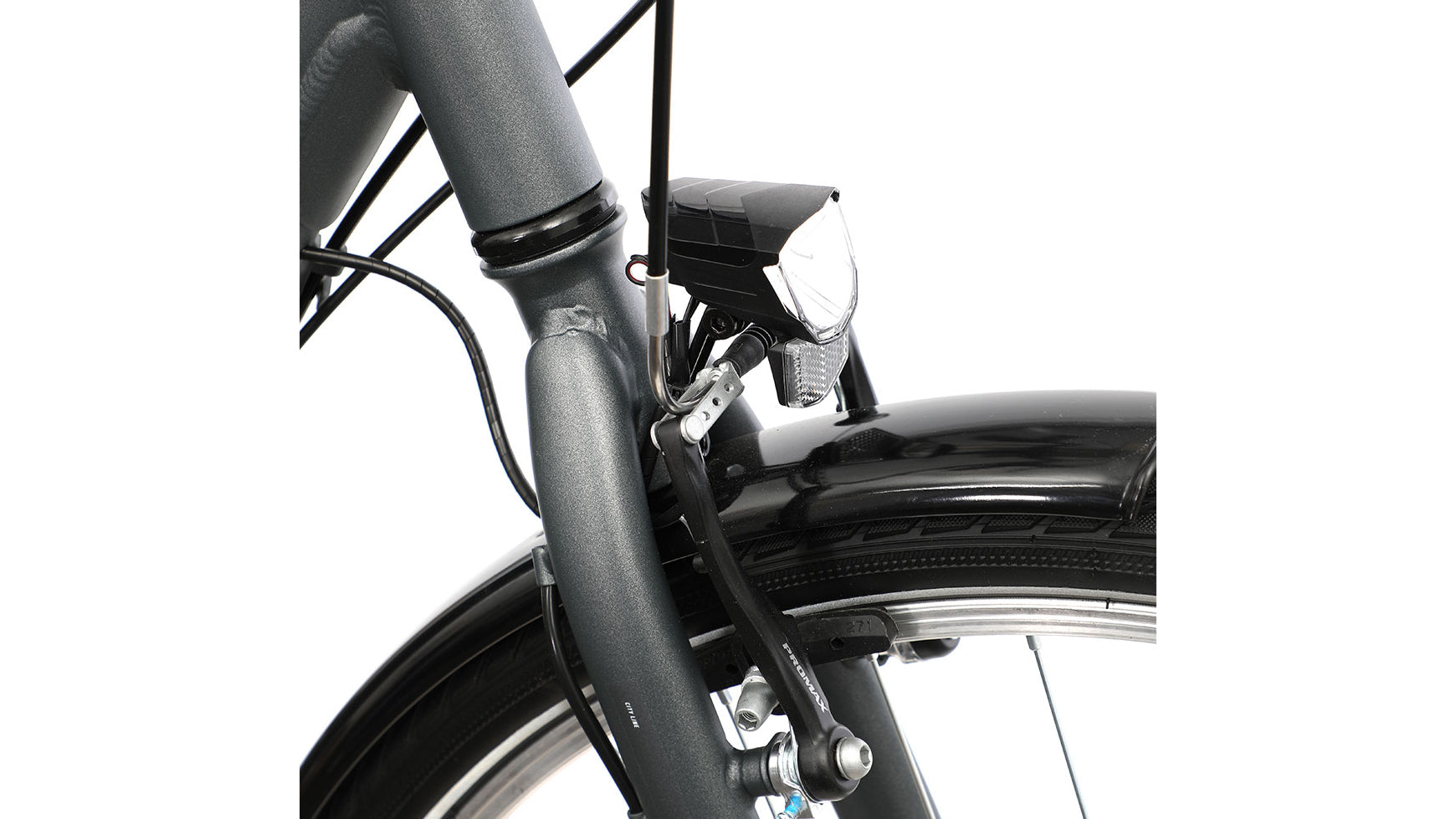 Bocas Tampa Wave image 3