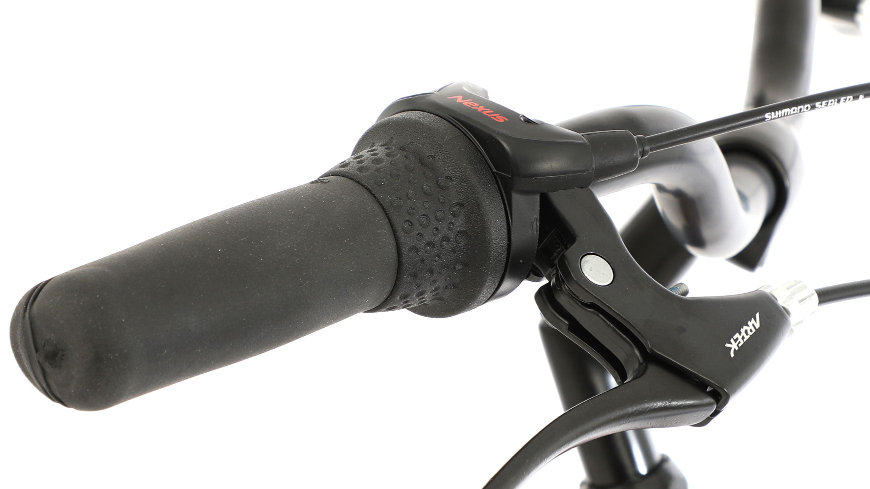 Bocas Tampa Wave image 11