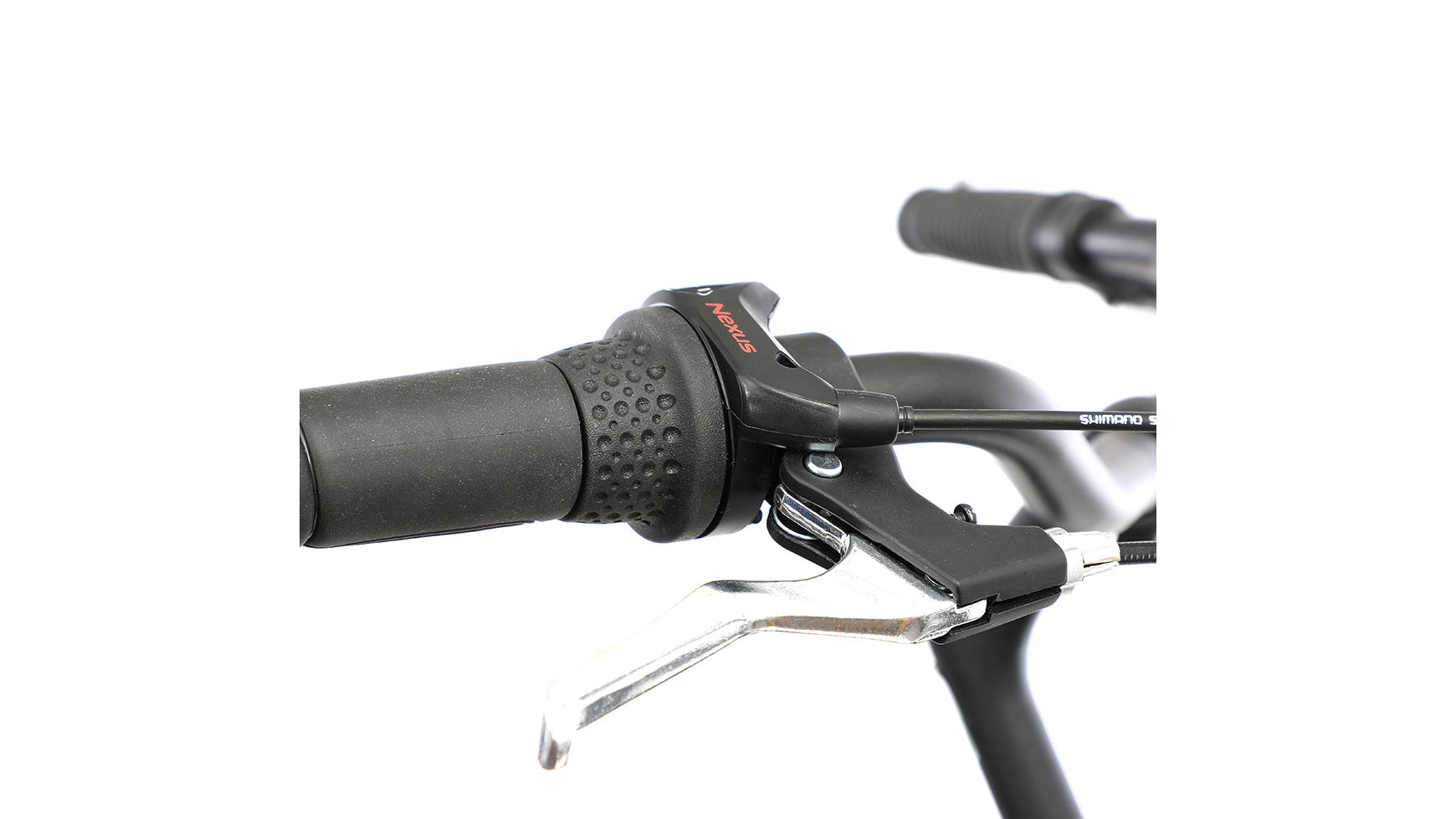 Bocas Tampa Wave image 5