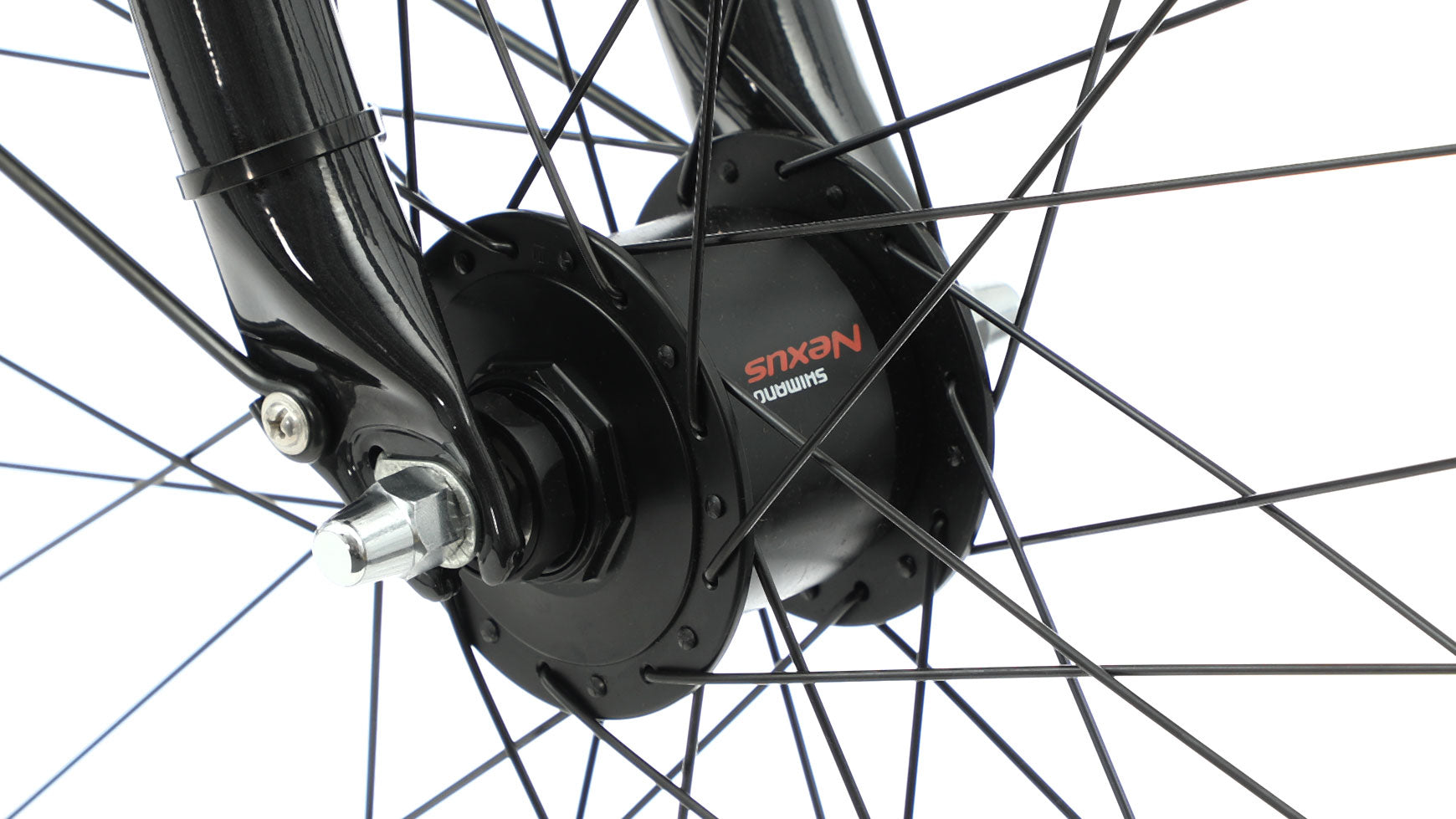 Bocas Force 24.21 Y image 2