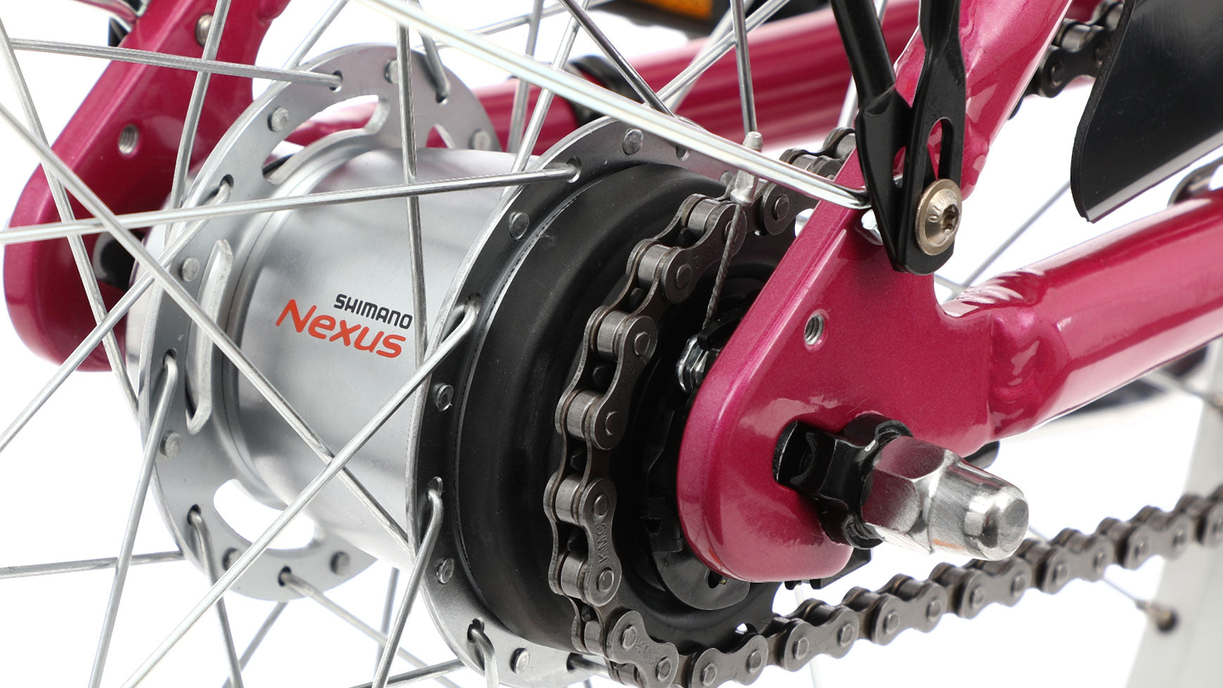 Bocas Stella 24.7 LTD Wave image 5