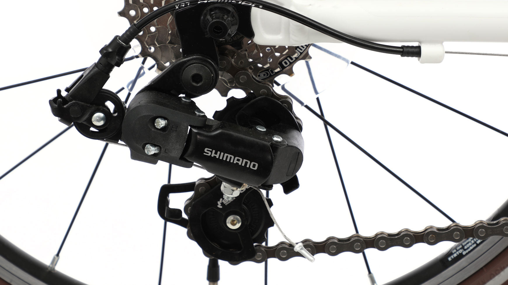 Bocini light 20 image 4