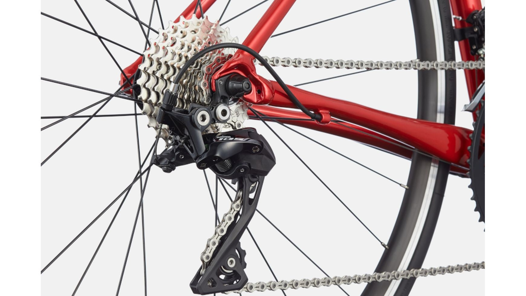 Cannondale CAAD Optimo 1 image 4