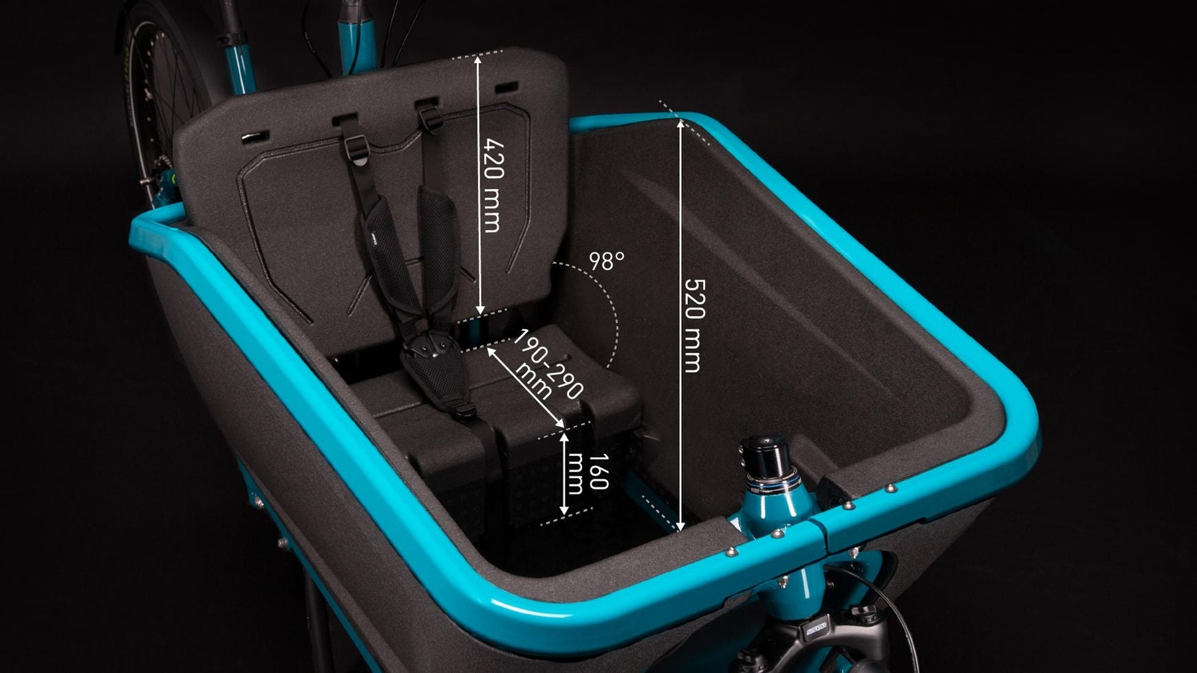 Cube Cargo Dual Hybrid 1000 image 9