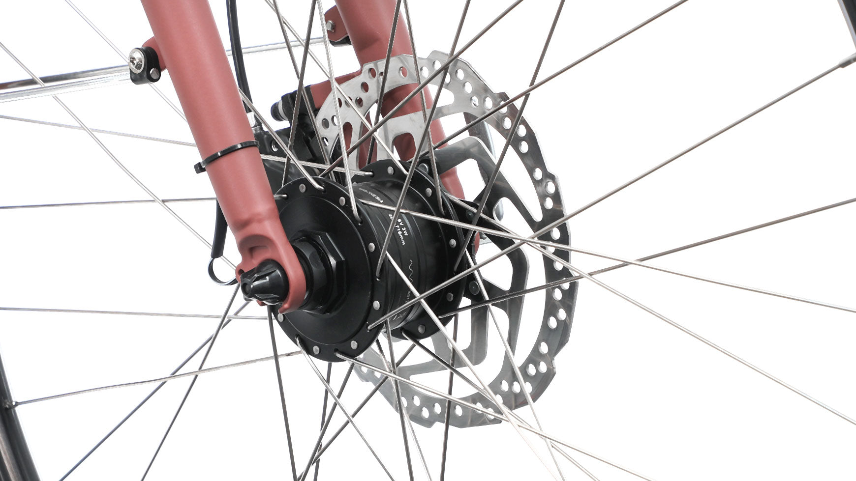 Cuneo Venosa image 2