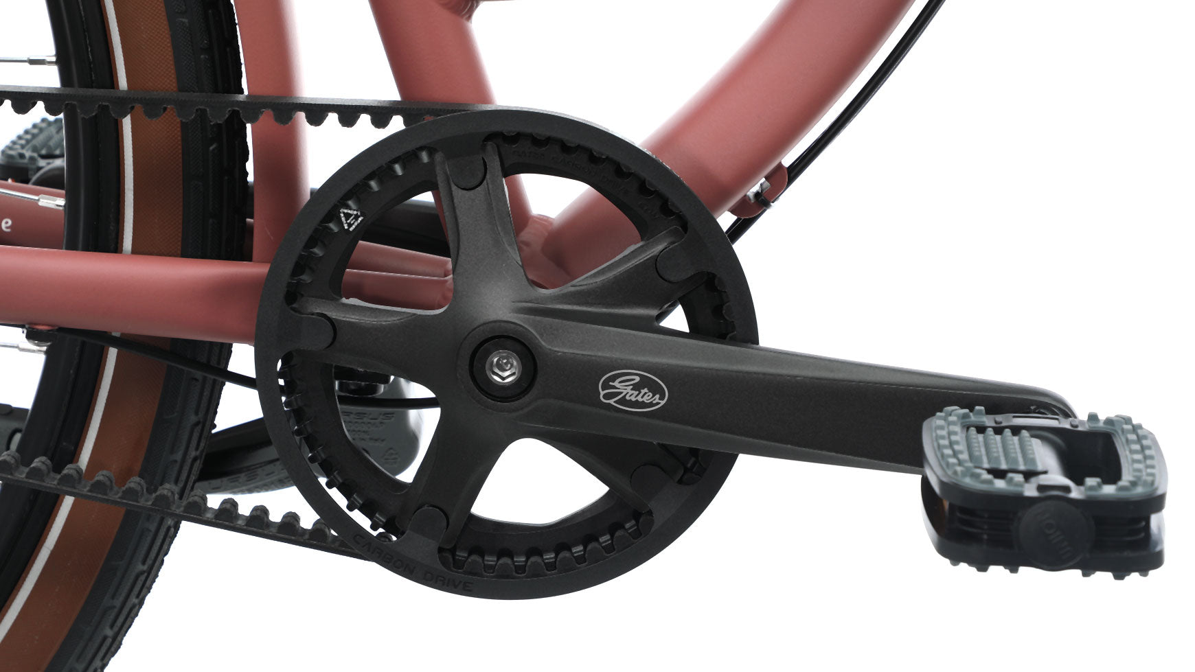 Cuneo Venosa image 6