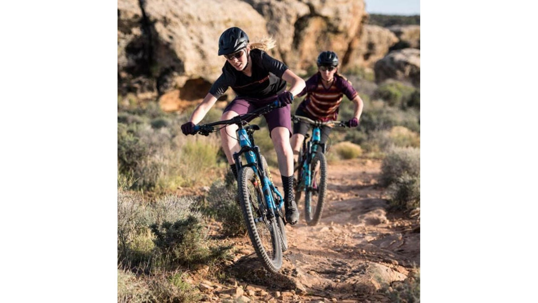 {E95941A7-A36E-42EA-981B-996EB4B1690E}