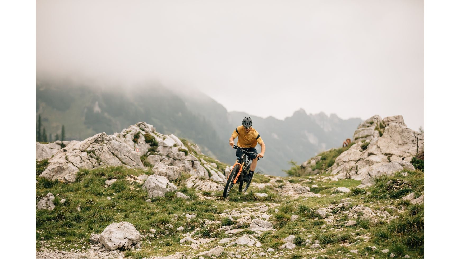 {7ECDE27E-55D6-4F27-9A63-DC676743BA43}