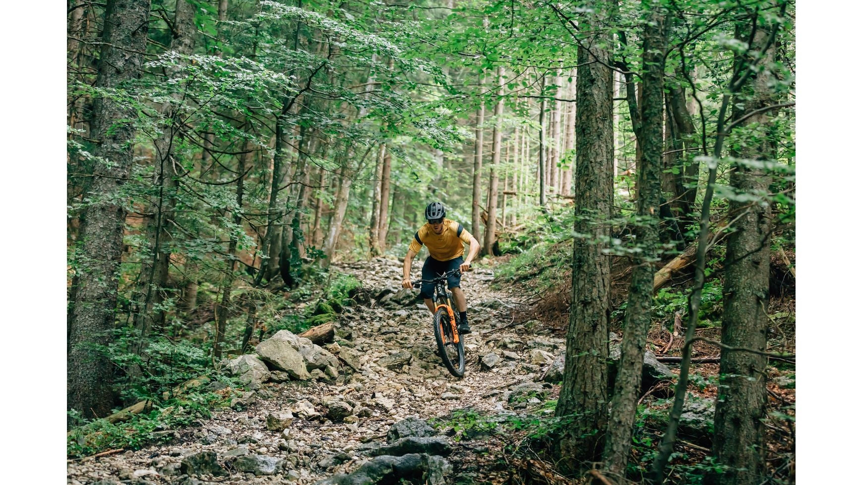 Gonso Masino image 4