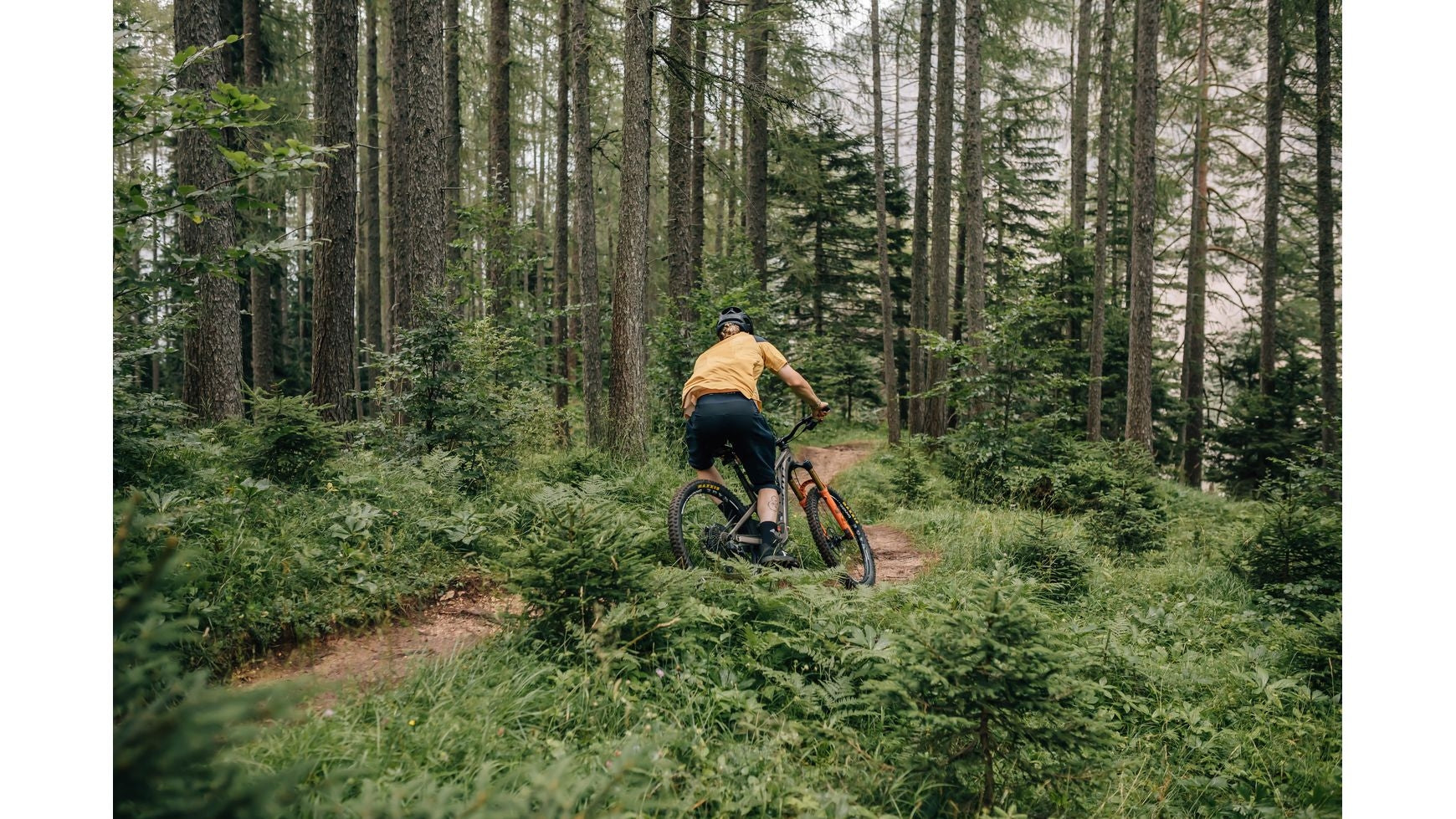 {4998FB62-9766-4B47-846F-58C5EA4D9F44}