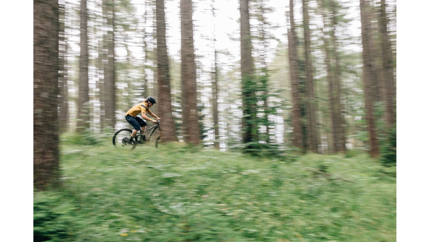 Gonso Masino image 13