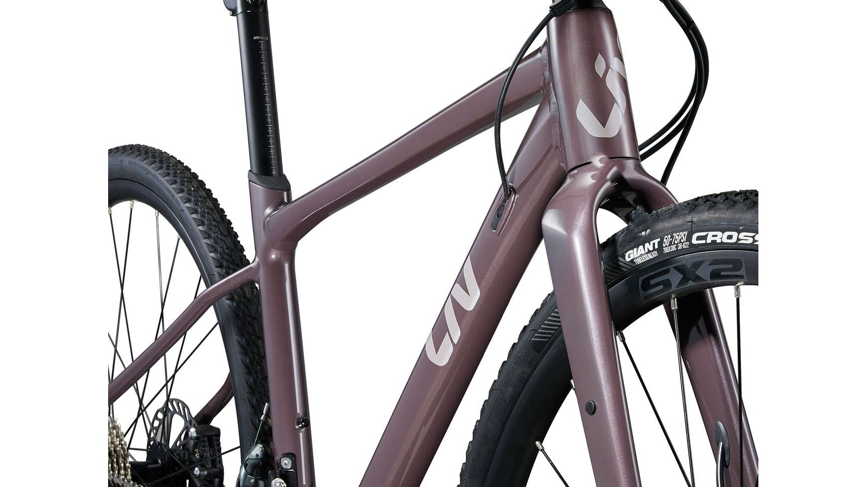 Liv Devote 1 image 2