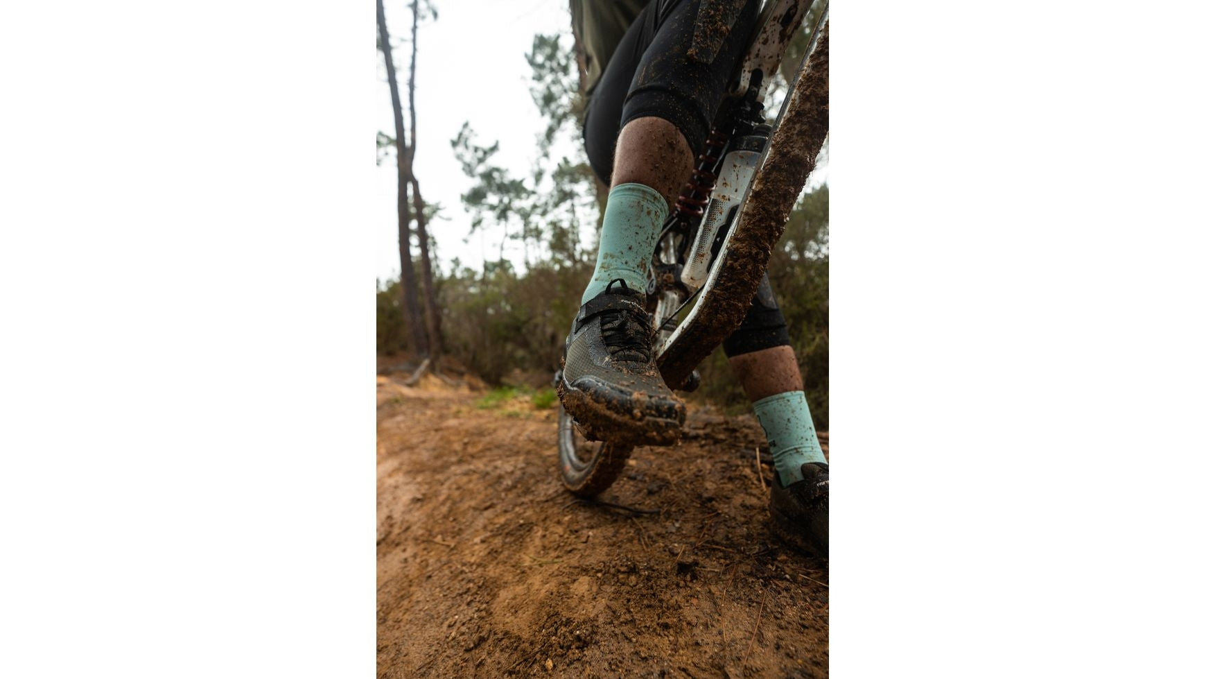 {83DD9B45-2EFF-4A4D-8453-38D274501253}