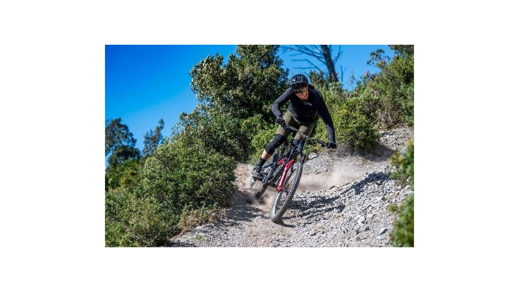 {F8F7CF17-B69B-465F-B5D7-68758E1C8598}