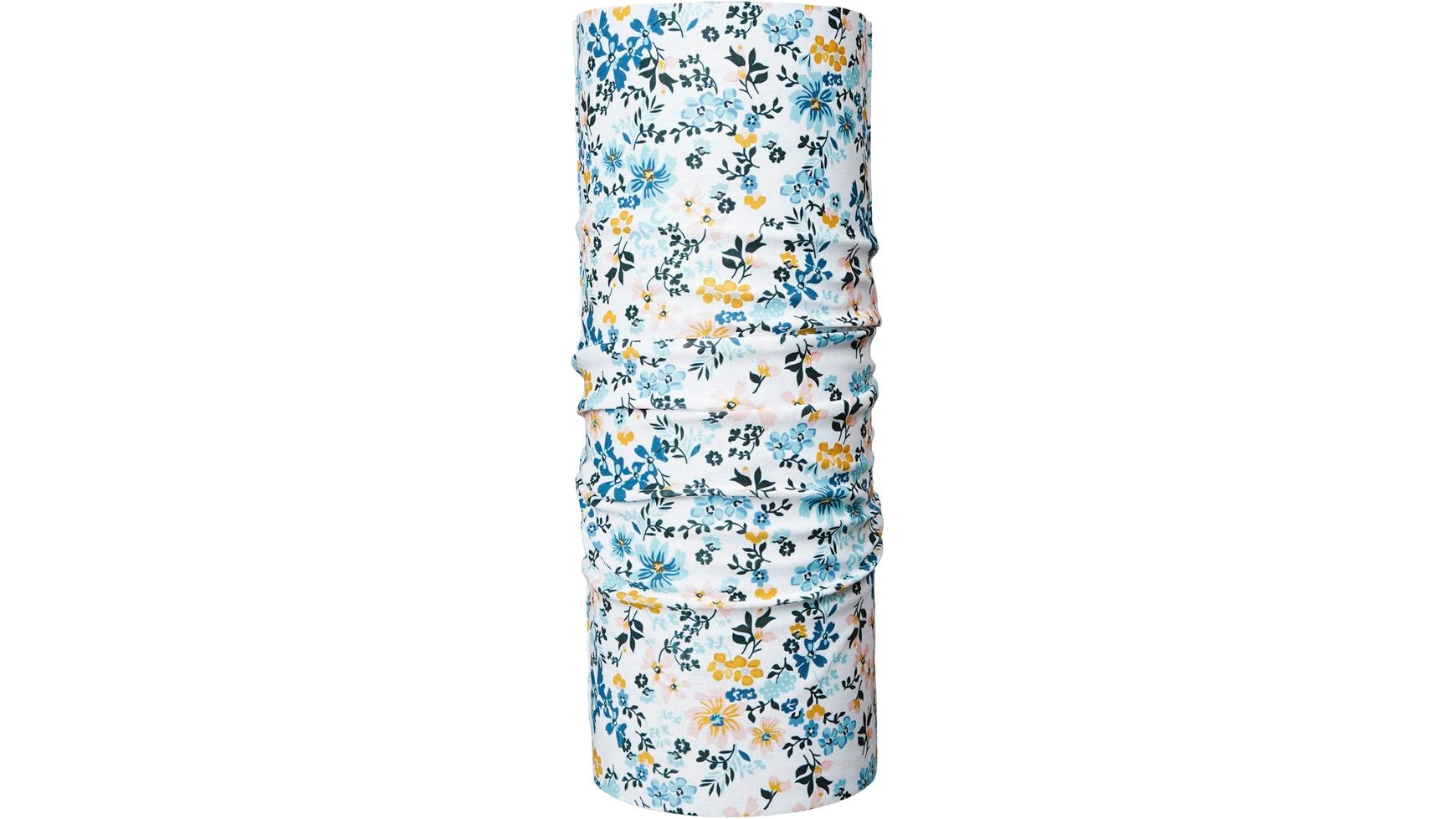 P.A.C. Original image 1