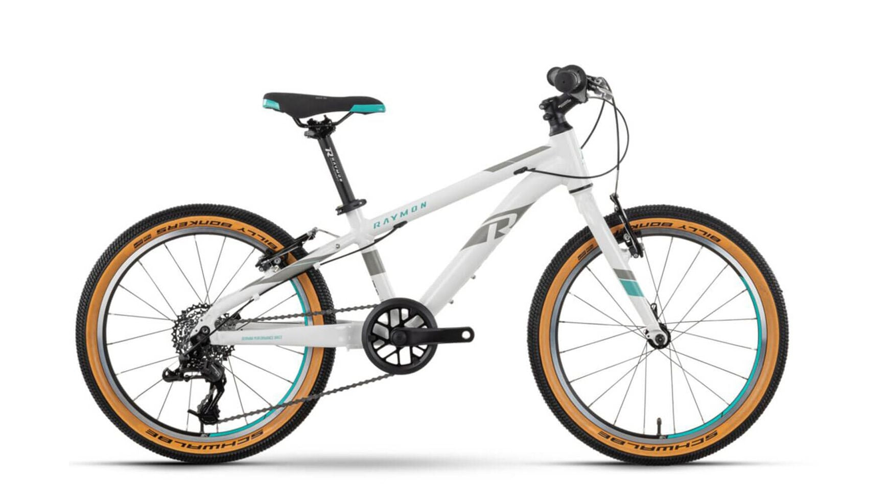 Raymon TwoRay 3.0 image 1