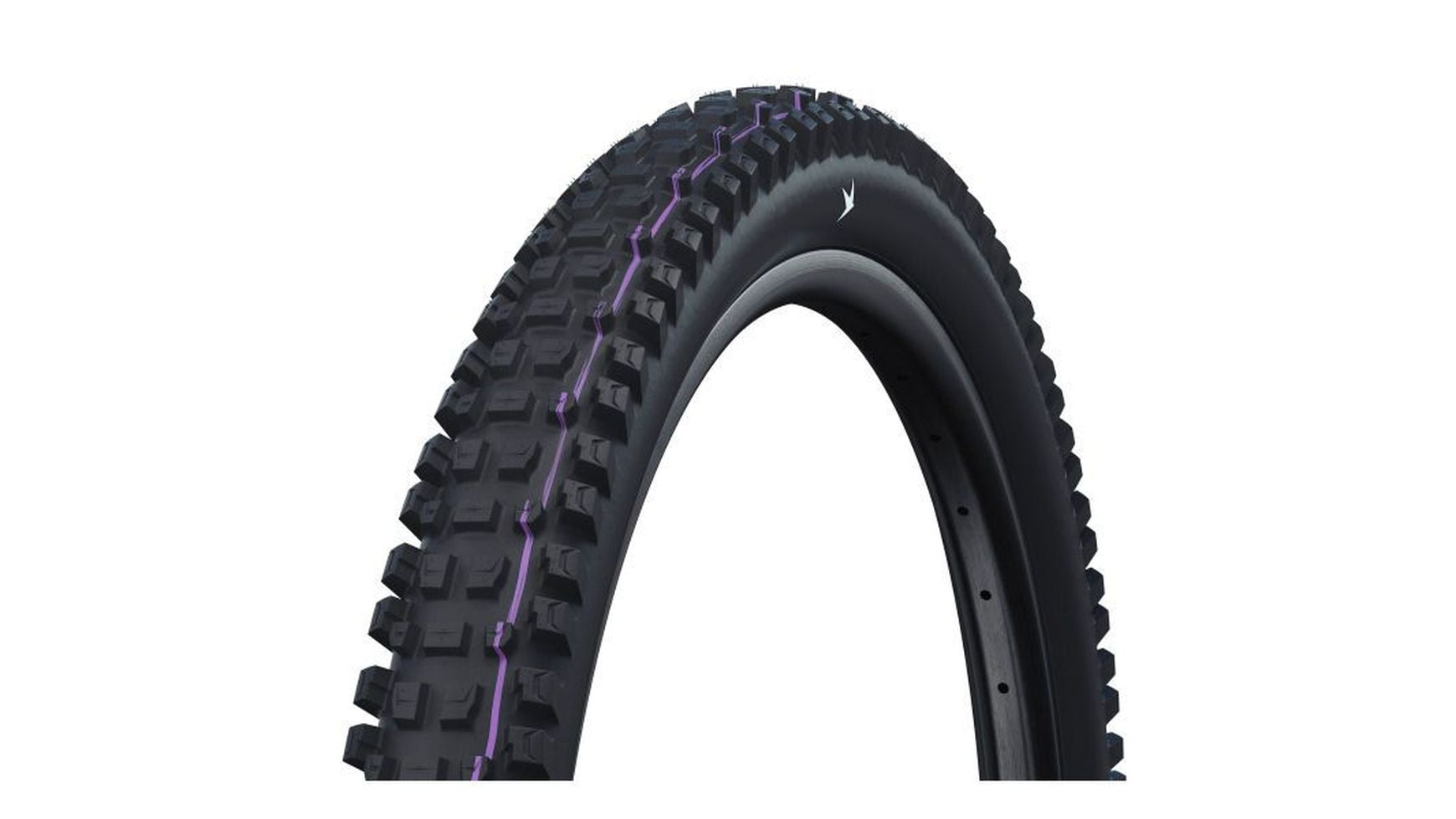 Schwalbe Albert Gravity Pro Radial image 0