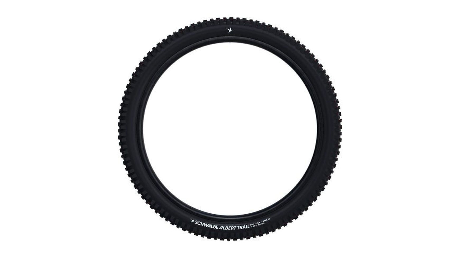 Schwalbe Albert Gravity Pro Radial image 1