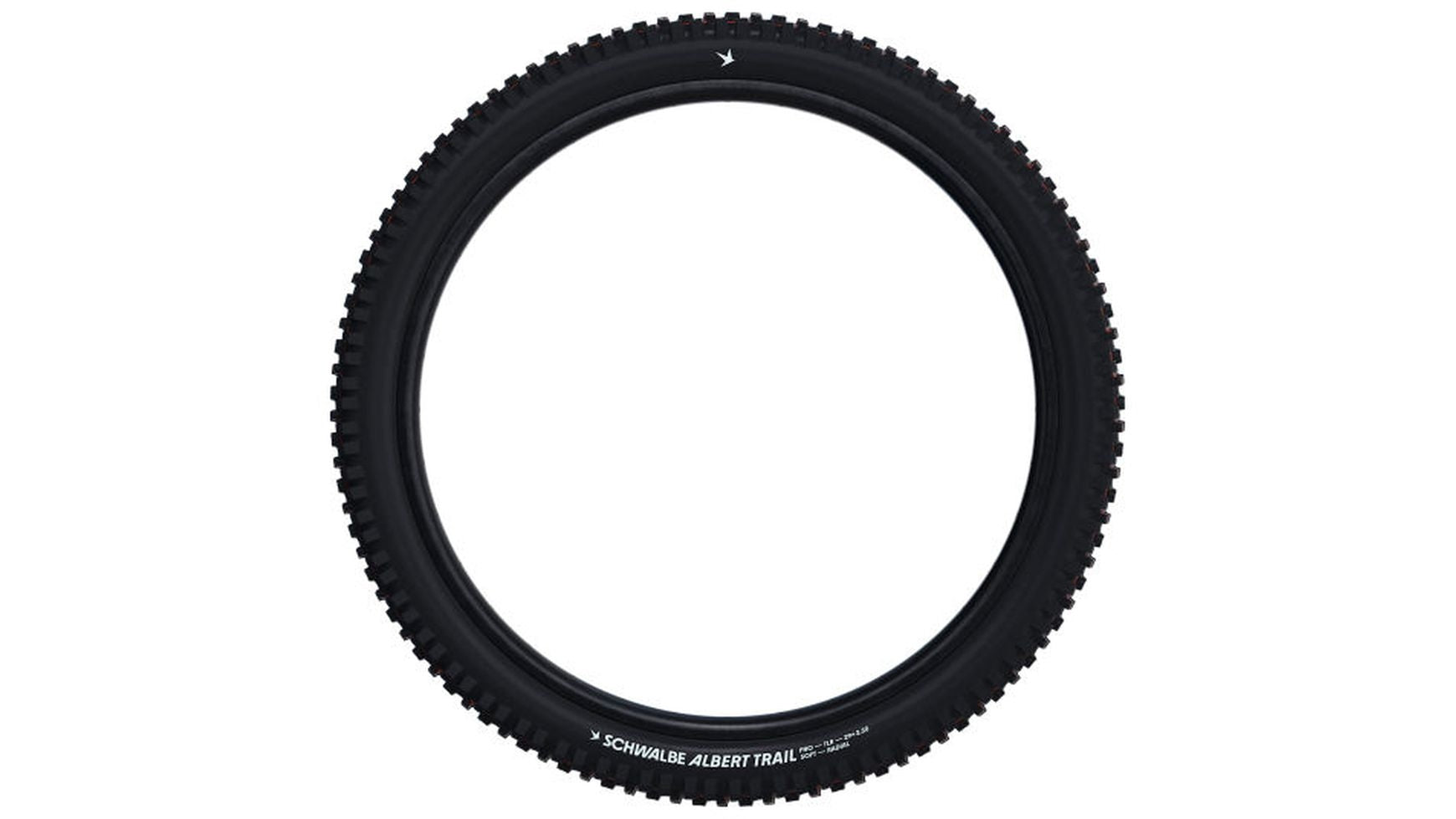 Schwalbe Albert Trail Pro Radial image 2