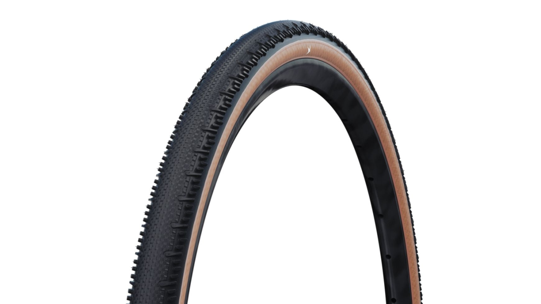 Schwalbe G-One RS Pro Evo 28" image 0