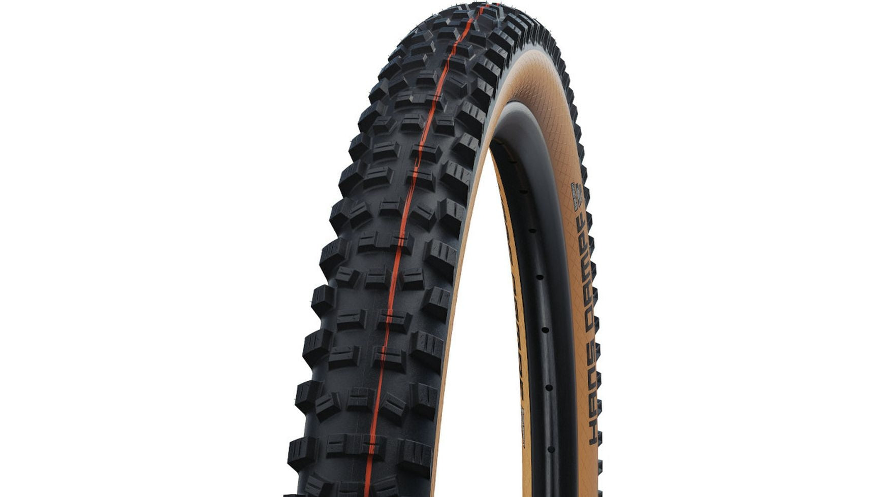 Schwalbe Hans Dampf Evo ST 29 image 3