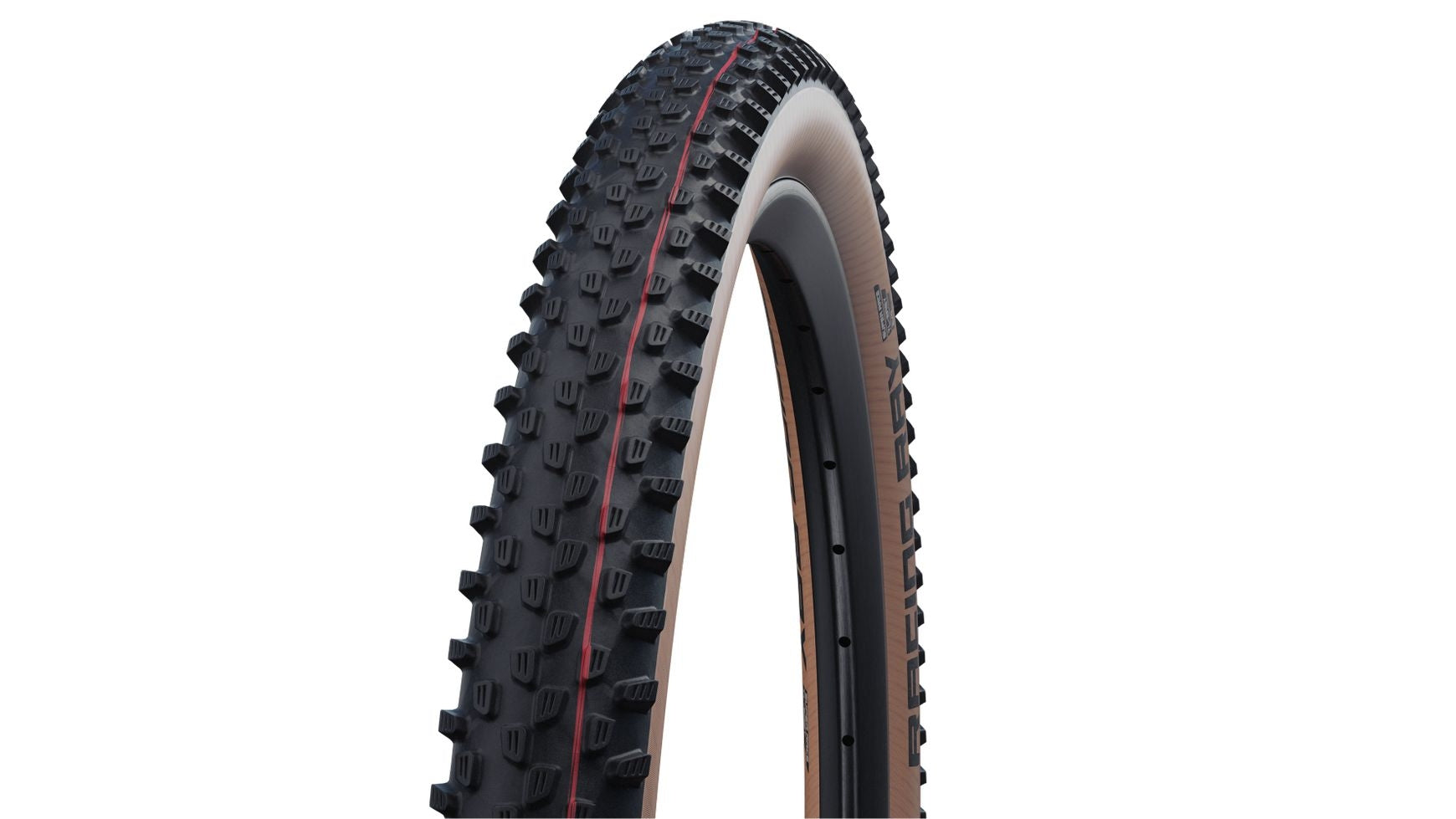 Schwalbe Racing Ray Evo SR 29 image 0