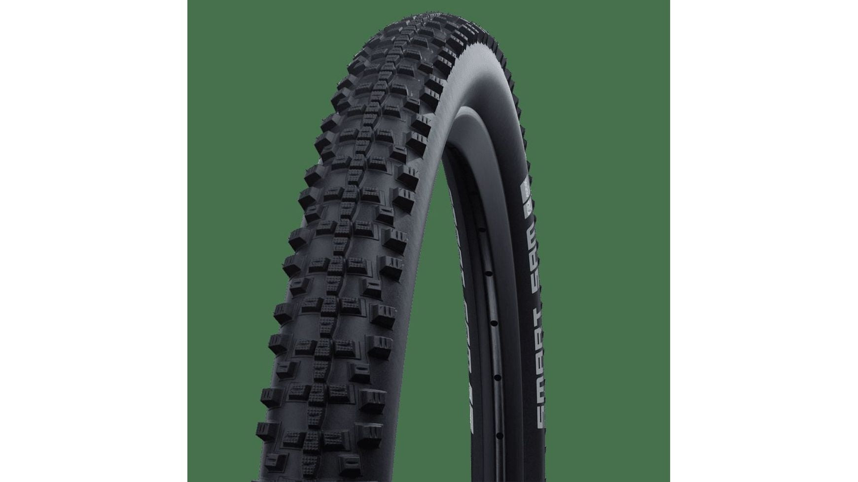 Schwalbe Smart Sam Performance 20" image 0