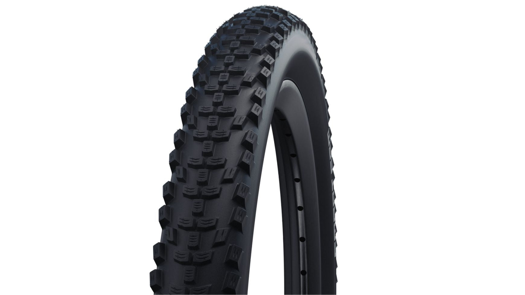 Schwalbe Smart Sam Performance 28" image 2