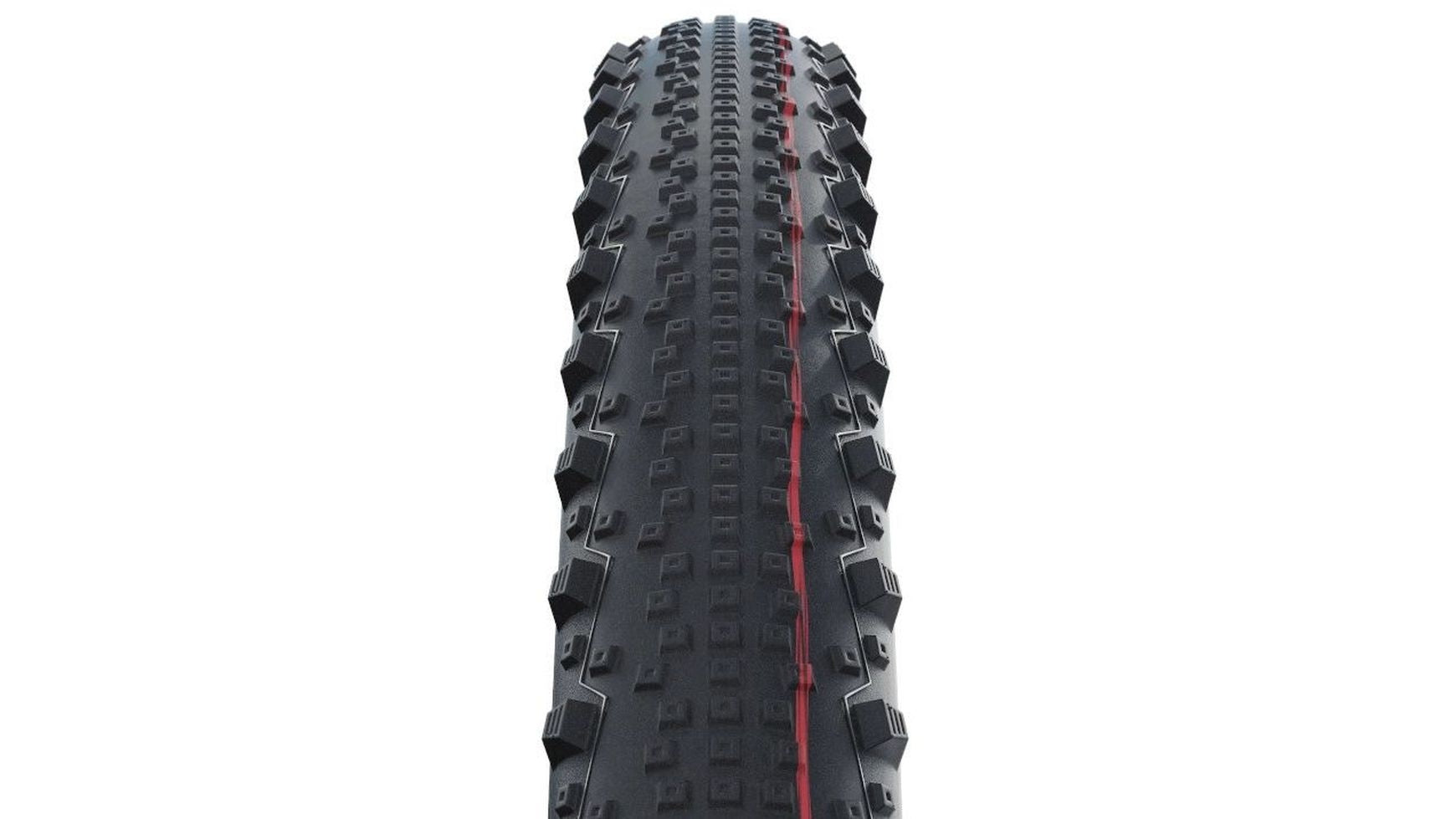 Schwalbe Thunder Burt Evo SGR 29 image 1