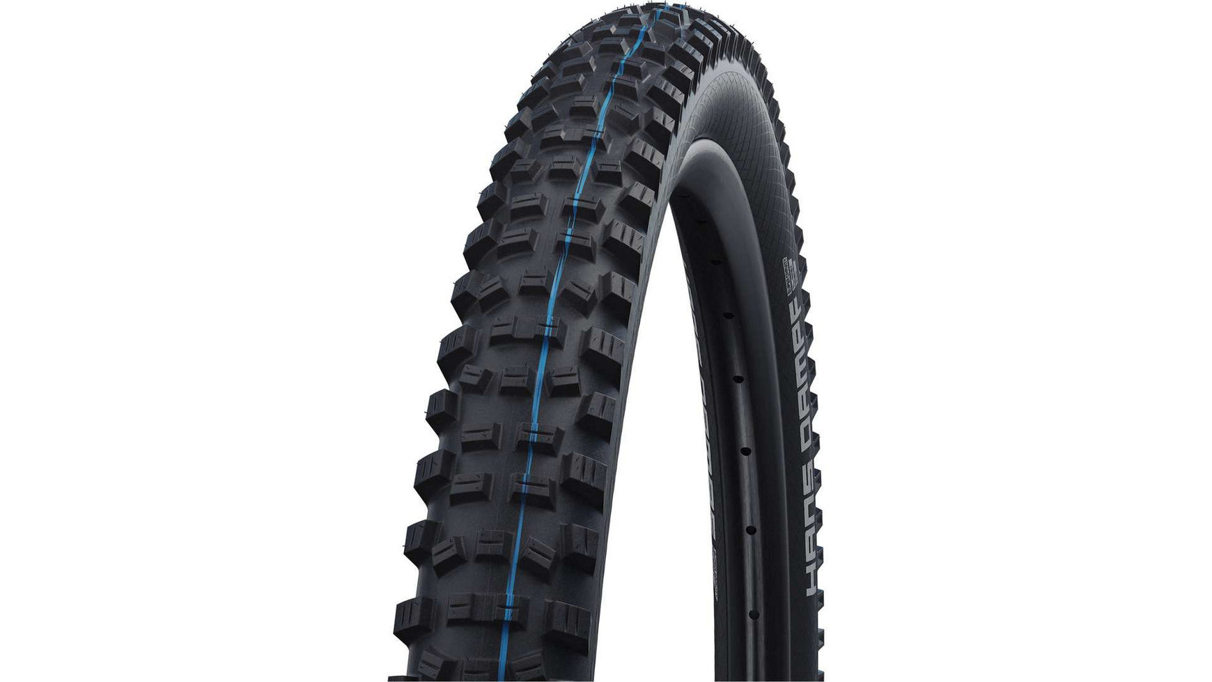 Schwalbe Hans Dampf Evo ST 29 image 0