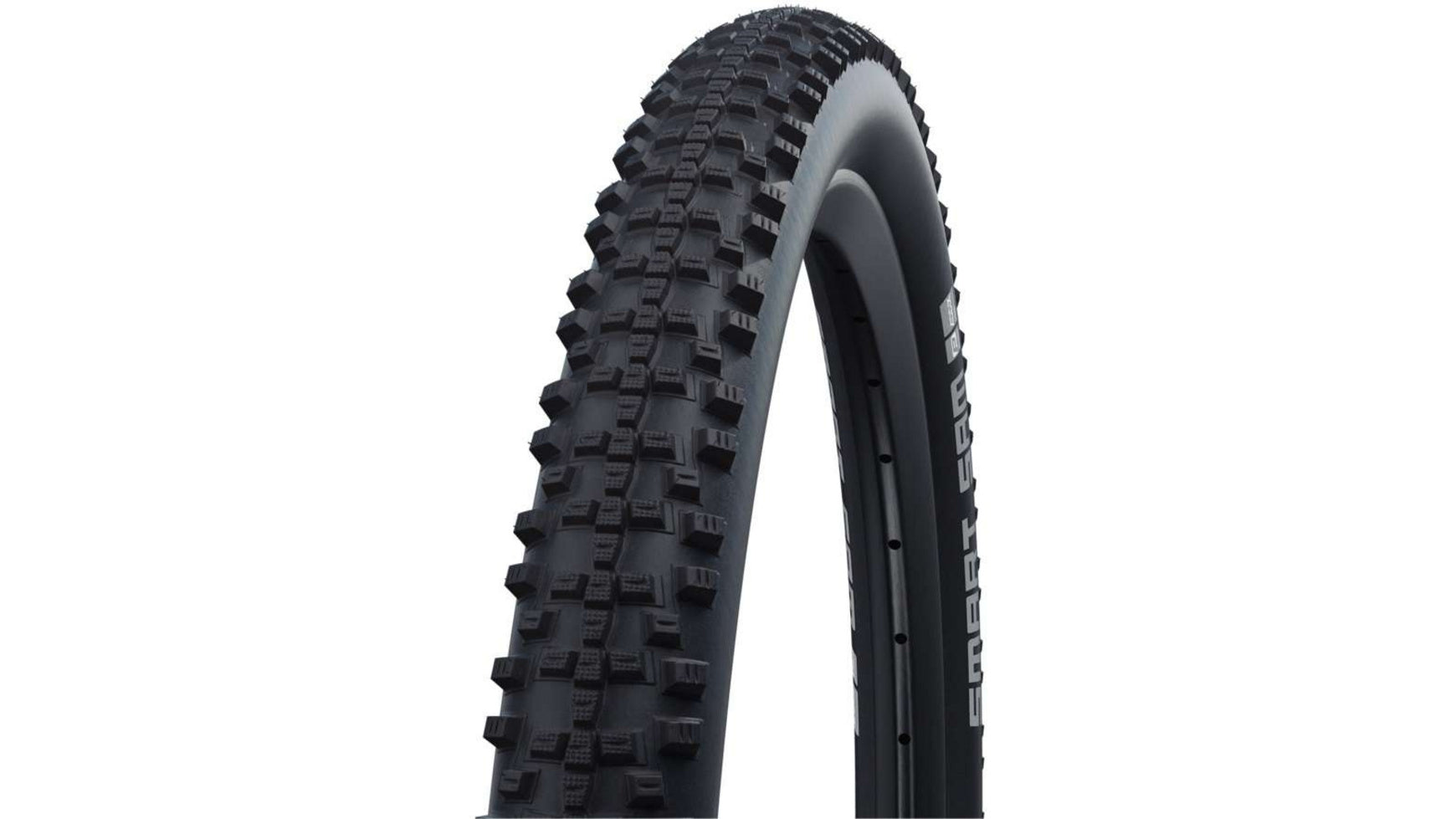 Schwalbe Smart Sam Perf. RG 29 image 0