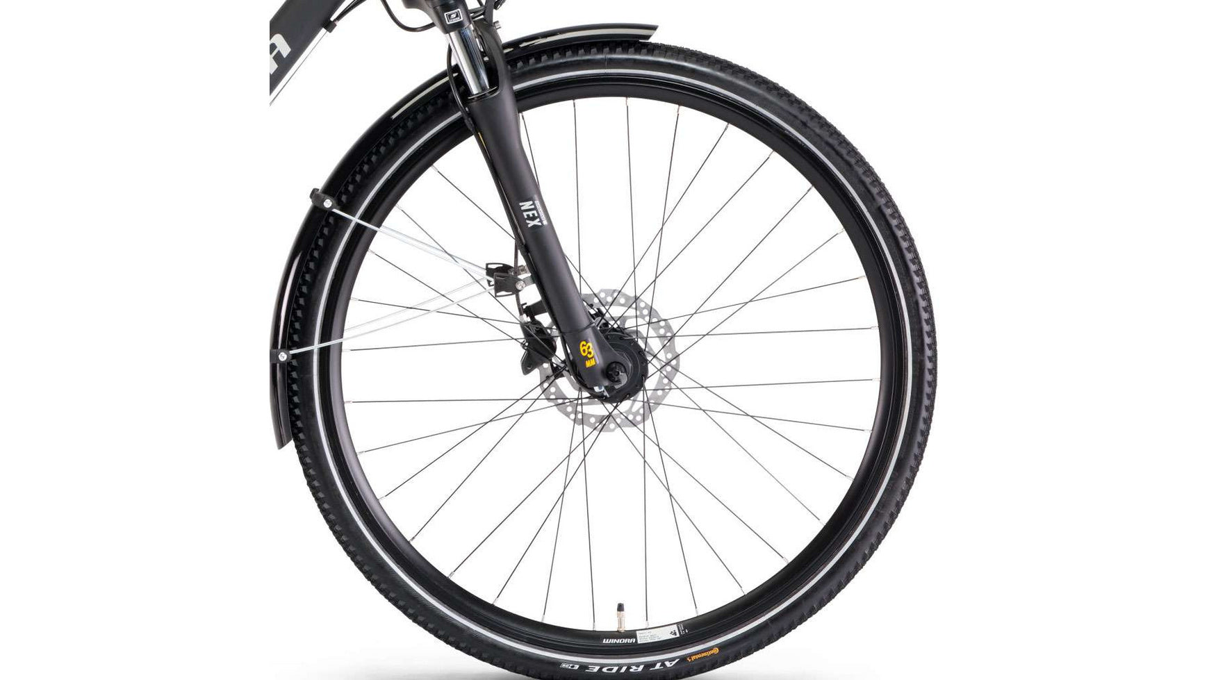 Winora Domingo 24 image 2